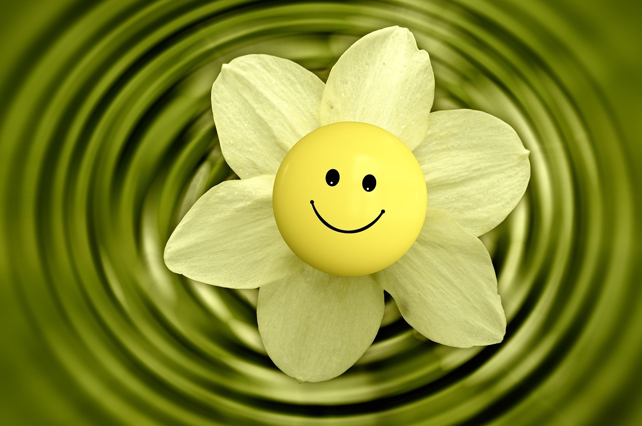 blossom, beautiful flowers, bloom, flower wallpaper, flower, smiley, emoticon, wellness, health, smile, flower background, happy, pleasure, happiness, samuel, yellow, sun, joyful, enjoyment of life, nature, white
