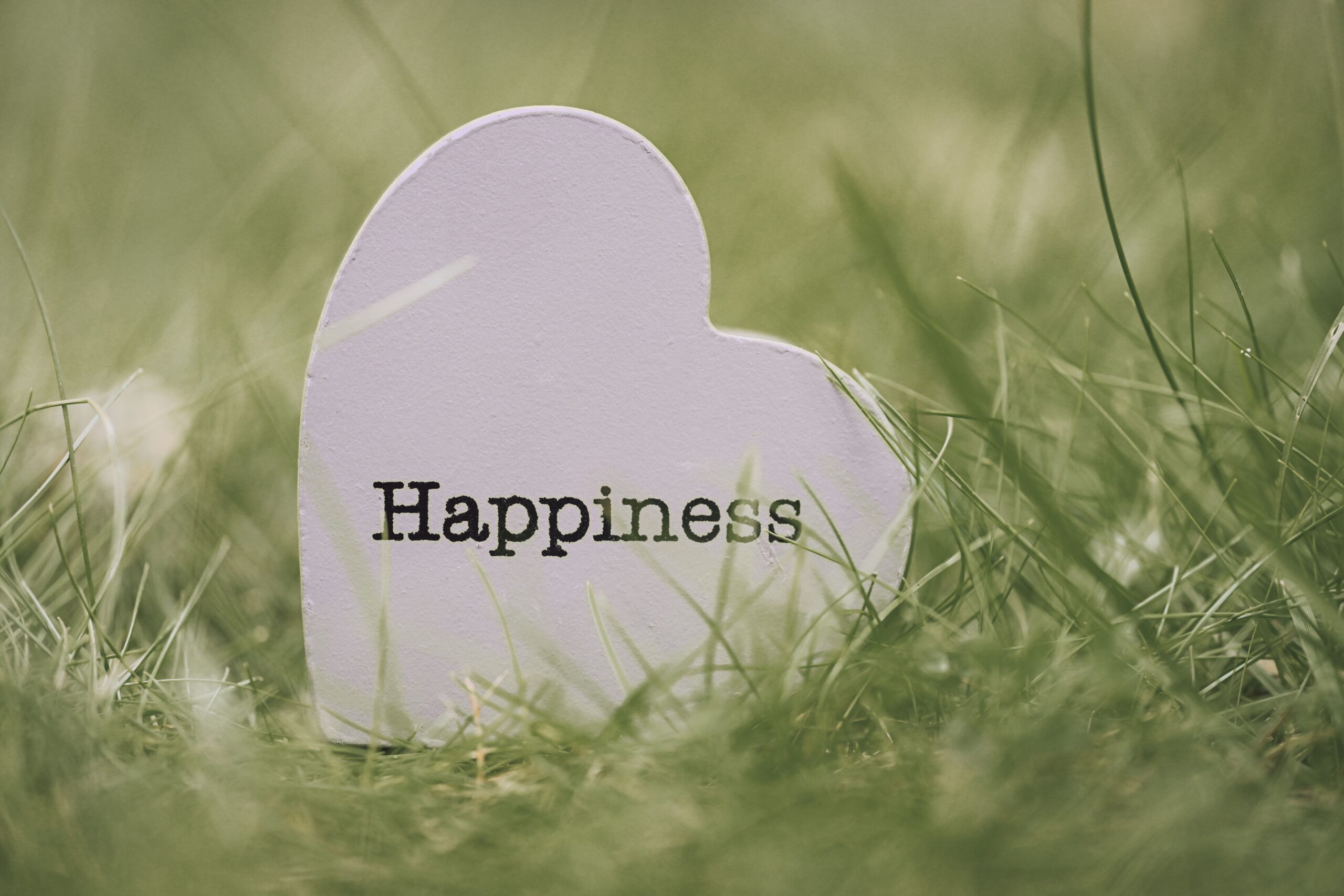 A heart-shaped sign with 'Happiness' text nestled among green grass, symbolizing joy and encouragement.
